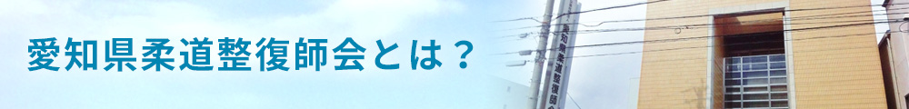 愛知県柔道整復師会